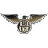 icon RealFlight 1.1