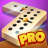 icon Dominoes 8.39