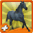 icon HorseRide 1.1