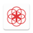 icon Clue 202.0