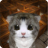 icon Cu Cat Maze Runner 1.3.1