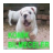 icon Bilmece 1.5