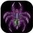 icon Spider 2.0.0