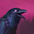 icon Grim Soul 7.3.1