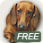 icon Dachshund song 2.0.2