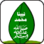 icon كتاب السيرة النبوية