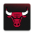 icon Chicago Bulls 4.0.16