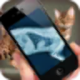 icon Simulation XRay Cat cho Huawei Y7 Prime