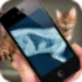 icon Simulation XRay Cat cho Samsung Galaxy Tab A