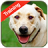 icon Dog Training 1.2