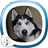 icon Dog Sounds 4.0