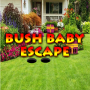 icon Bush Baby Escape