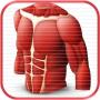 icon com.topoflearning.free.medical.vibering.anatomy.science.cards