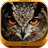 icon Night Owl Wallpaper HD 1.0.5