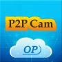 icon P2PIPCam