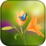 icon Blowing Flowers HD Wallpaper for whatsappp