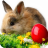 icon Easter Bunny Wallpaper 1.01