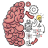 icon Brain Test 2.761.2