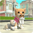 icon CatSim 215