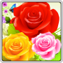 icon Bubble Rose