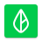 icon Branch 2025.7.1