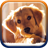 icon Cute Puppies Live Wallpaper 1.1.6