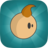 icon Pistache 504