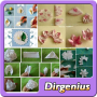 icon DIY Flower Craft Designs