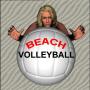 icon Beach Volleyball Lite