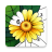 icon Color Oasis 1.2.11
