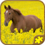 icon Horse Puzzles Free