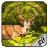 icon Deer Hunting Jungle Sniper 1.1