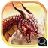 icon Dragon 2016 1