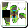 icon Fly Slide Puzzle