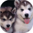 icon Puppies dogs live wallpaper 3.1