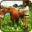 icon Life of HorseWild Simulator 1.12