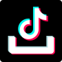 icon Video Downloader for TikTok