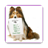 icon TRAIN A DOG 14.0