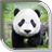 icon Panda Live Wallpaper eta