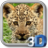 icon Real Leopard Cub Simulator 1.5