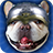 icon Frenchie Quest 1.0.405