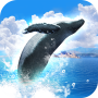 icon REAL WHALES Find the cetacean.