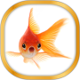 icon Gold Fish Live Wallpaper