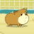 icon Guinea Pig Evolution 1.1