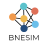 icon BNESIM 2022.1.3