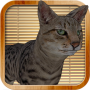 icon Kitty Cat Sim
