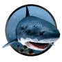 icon Piranha Shark Attack