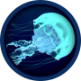 icon Ocean Jellyfish Live Wallpaper