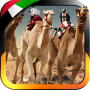 icon Camel Racing
