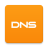 icon DNS 0.59.3-1